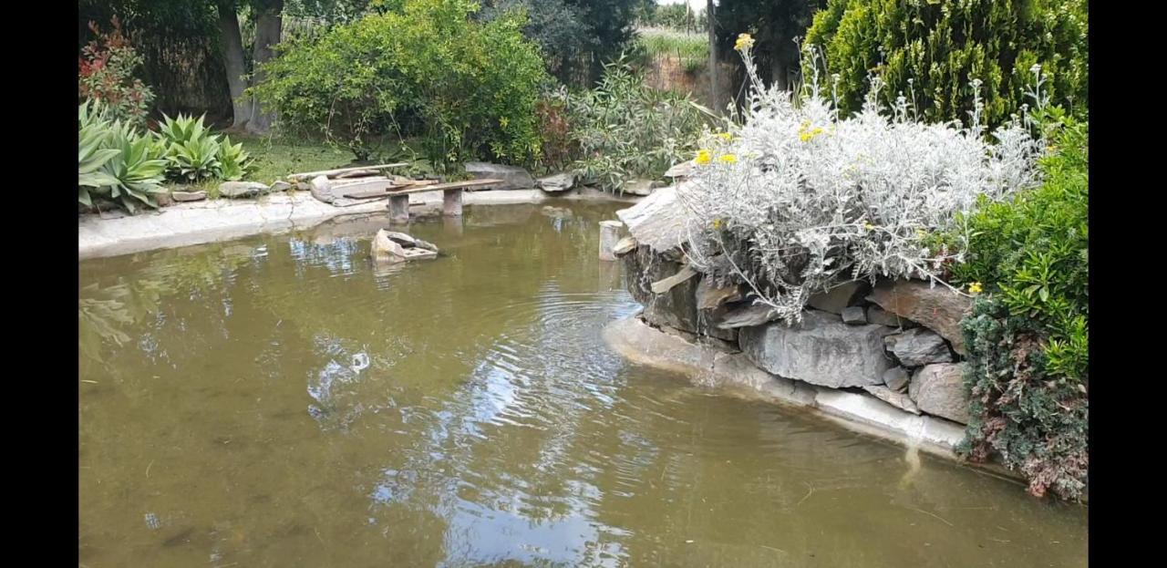 La Casa Del Torreon Panzió Aljaraque Kültér fotó